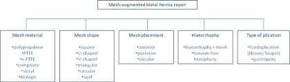 Treatment Options For Mesh Augmented Hiatal Hernia Repair