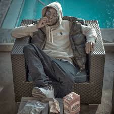 Image result for Rhytachne