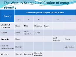 Image result for Croup Score