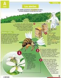 De retour à la ruche, elle régurgite le nectar c'est cet acide qui donne au miel un faible ph, et donc une forte acidité, le rendant ainsi inhospitalier pour des organismes tels que les bactéries. Les Abeilles Abeille Apiculture Theme Abeille