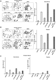 Cooperation of the ATM and Fanconi AnemiaBRCA Pathways in Double-Strand  Break End Resection: Cell Reports