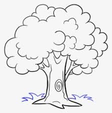 Or if the trees are bare. How To Draw Trees Drawing Cartoon Sketch Cartoon Sketch Tree Drawing Hd Png Download Kindpng