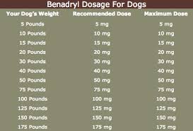 this benadryl for dogs dosage chart will show you how much