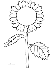 Sonnenblume Einfach Malvorlage Sonnenblume Basteln Sonnenblumen Sonnenblumen Malen