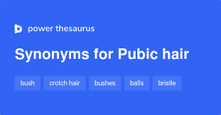 Pubic Hair Synonyms 49 Words And Phrases For Pubic Hair
