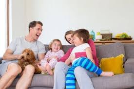 Kill pests in south auckland city, north shore, east and west. Pest Control Southern New Jersey Safeguard Termite Pest Control
