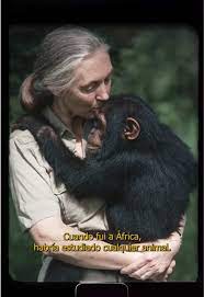 Dra. Jane Goodall: Su legado de esperanza en Chile | TikTok