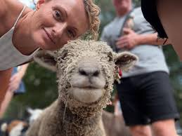 Sheree Sullivan (@sheree_sullivan) • Instagram photos and videos