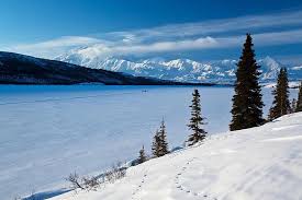 Sealed bidding ends february 28, 2020. Topio Boyna Xioni Denali Alaska Hpa 8aymaste Limnh Pezoporwn Epi Ths Xionos Panorama 8eamatikos Antanaklash Pikist