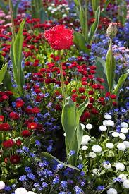Spring Gardening Takes Some Planning Live Dan 330 Summer Flowers Garden Flower Garden Flowers