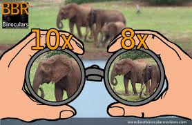 What To Look For When Buying Binoculars Buyers Guide