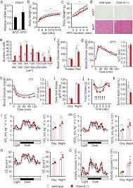 Ideal shopping centre & co ltd rue saint françois xavier, plaine verte, port louis, mauritius coordinate: Neural Regulation Of Energy And Bone Homeostasis By The Synaptic Adhesion Molecule Calsyntenin 3 Experimental Molecular Medicine