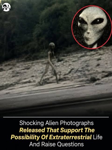 It appeared without warning. And nothing about it looked familiar. A  mysterious creature discovered in a remote location has ignited global  fascination and fear. PH๏τos and footage show a figure with