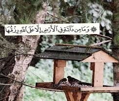 دعوة صباحيه وعسى كل نفس صابره ربي يسقيهها فرح يسوى الكون كله صباح الخير bird house decor home decor