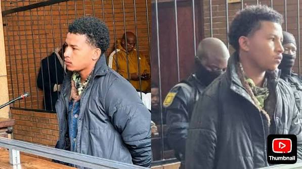Reiger Park killer Regan Collis appeared in Boksburg Magistrate Court on Wednesday . The 23 years old alleged gangster Regan Collis is facing nine charges including contravention of the firearm control act .