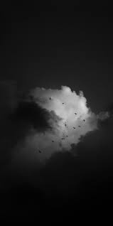 Black And White Nature Creative Wallpaper Pin By Kylie Bercot On Black White Black And White Clouds Black And White Photo Wall Black And White Background