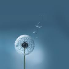 Tons of awesome 5120x1440 wallpapers to download for free. Im 52 Android Wallpaper Samsung Tab 4 1440x2560 Px Picserio Com