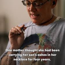 Shark Attack Stories and Experiences