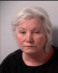 Logan Co. woman to 911 dispatcher: 'I shot him'