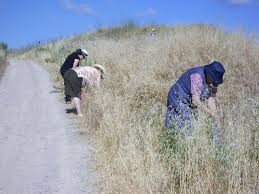 Résultat de recherche d'images pour "Caracois and The Algarve"