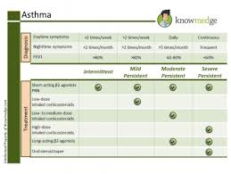 Image result for Moderate Persistent Asthma
