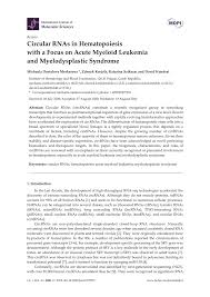Oliver krejčík se narodil 12. Pdf Circular Rnas In Hematopoiesis With A Focus On Acute Myeloid Leukemia And Myelodysplastic Syndrome