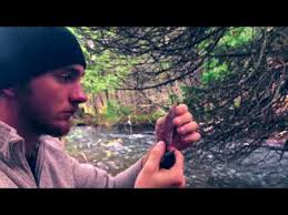 Opals, Gems, Fossils, Rock Hounds