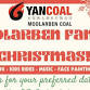 Moolarben Family Christmas 23rd Nov 2025 event image