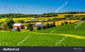 Image result for tbn:cRxpWML3C6TQFM::farm3.static.flickr.com/2382/2420623259_e3c8cd4fd8.jpg