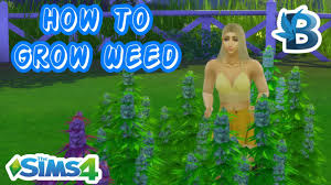 Mac which language are you playing the. Psychonaut Aspiration Part 1 Curious Basemental Drug Mod The Sims 4 Youtube