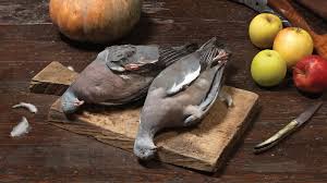 Le col d'osquich est un col routier situé dans les pyrénées françaises au pays basque. Hunting Pigeon In The Pyrenees For Supper The New York Times