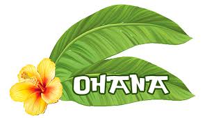 Https Encrypted Tbn0 Gstatic Com Images Q Tbn 3aand9gcqdej2oyh8geu55v4qny9gbfuwppa7nxyukaq Usqp Cau