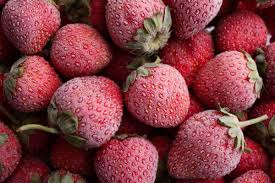 Una tale domanda viene spesso posta da hostose zelanti che desiderano coccolare se stessi e la propria famiglia con una bacca gustosa prima di passare a ricette specifiche su come congelare le fragole, parliamo dei principi generali di raccolta e preparazione degli acini per. Come E Perche Dovresti Congelare Le Fragole Per Averle A Disposizione Tutto L Anno Greenme