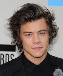 Pin By Ascyth On Cute Boys Harry Styles Hair Hairstyle Short Hair Styles