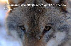 Cerca nel più grande indice di testi integrali mai esistito. 45 Wolfe Und Spruche Ideen Spruche Zitate Spruche Zitate