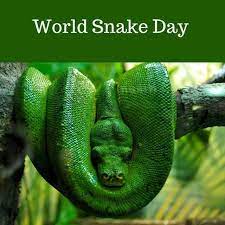 Its World Snake Day Today Snake Cute Animals Kawaii Animals Animals