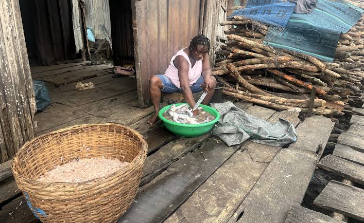 How solar energy is cutting post-harvest losses in Nigeria's fishing villages