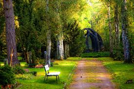 Purchase stunning nature and landscape photography to decorate your home or office. Nature Photos Wallpaper Cave