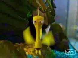Yellow fish bubbles finding nemo. Bubbles Youtube