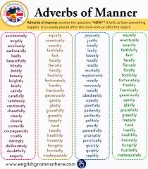 Check spelling or type a new query. Adverbs Of Manner List And Example Sentences English Grammar Here