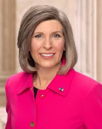 It was internally chosen to represent austria in the north vision song contest 13 in israel. Joni Ernst Wikipedia