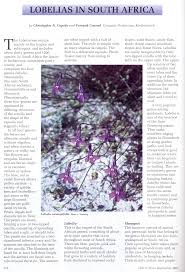 Image result for Monopsis zeyheri