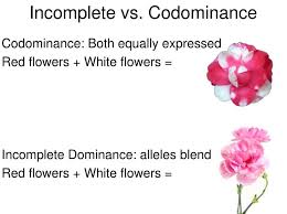 6 Difference Between Incomplete Dominance Vs Co Dominance With Examples Viva Differences