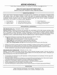 Resume Format Healthcare Resume Format Executive Resume Template Executive Resume Resume Examples
