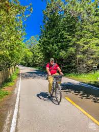 Because i never felt like i had the proper amount of time to devote to a mackinac island trip, it took me a few years to make this excursion a reality. How To Spend One Day On Mackinac Island Our Wander Filled Life