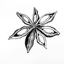 Inktober Day 8 Star Star Anise Inktober2018 Art Dailysketch Illustration Moleskine Sketchbook Artistsoninstagr Drawing Stars Star Anise Inktober
