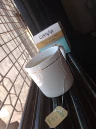 Girnar Detox Green Tea Desi Kahwa Review B Thirteen