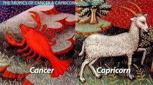 (the tropic of capricorn is the same thing in the southern hemisphere.) however the tropic of cancer passes through 15 countries. Importance Of The Tropic Of Cancer The Tropic Of Capricorn Video Lesson Transcript Study Com