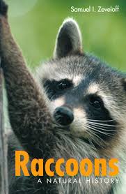 Raccoons A Natural History Amazon Co Uk Samuel I