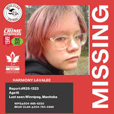 Update November 28/25 R25-55080 • ALLANIS BEARDY , 14 years Community Bolo  Cancelled Found